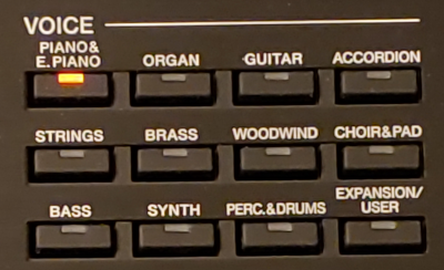 Voice category uttons