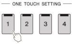 illustration of 4 OTS buttons.