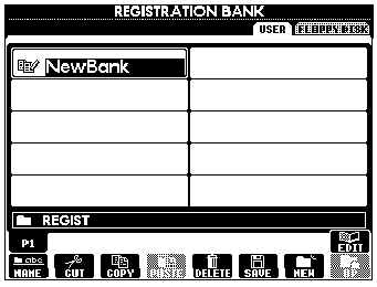 Select Reg Bank File
