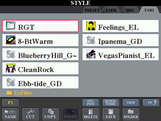 STYLE display screen for USB files