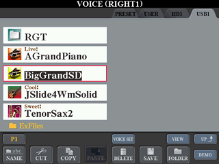 VOICE display screen