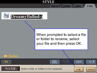Selecting style to rename