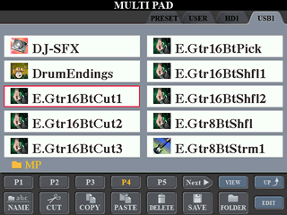 View of new folder with all multipads copied to it.