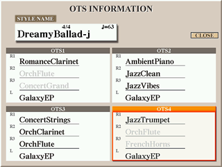 OTS INFORMATION screen