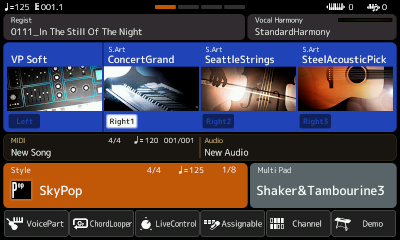 PSR-SX900 initial Home page.