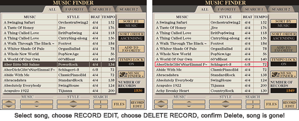 delete record example