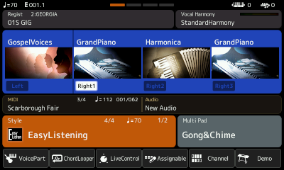 Home page with Georgia record from Steve playlist selected and loaded.