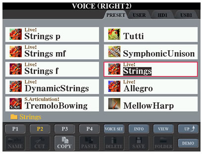 R2 voice screen