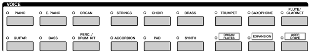 voice categories