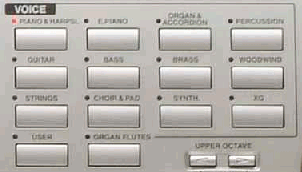 Voice Category buttons