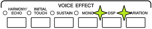 Figure 8 Voice Effect with DISP and VARIATION lit
