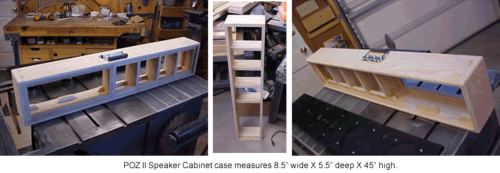 POZ II Speaker Cabinet case