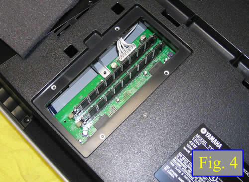 fig 4 - installed memory modules