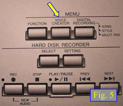 fig 5 